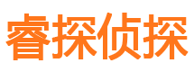 清新侦探